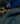 ETOLE 70 LOV - Inoui Editions - BLEUE